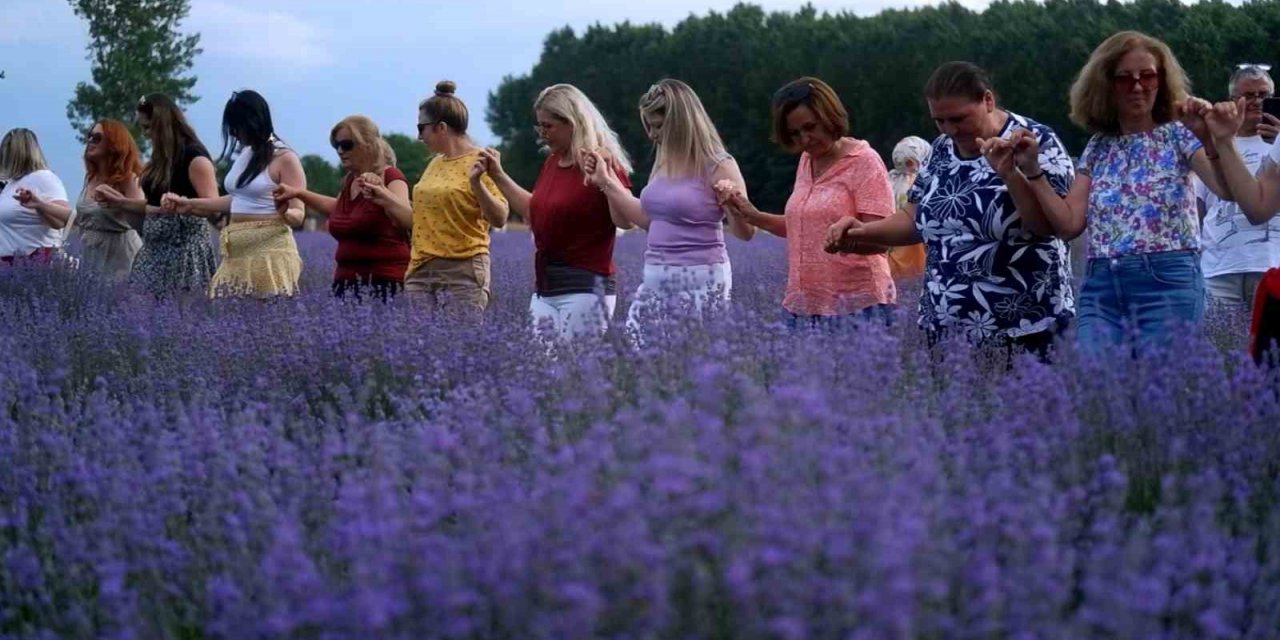 Onlarca kişi aynı anda lavanta tarlasında halay çekti, oyun oynadı
