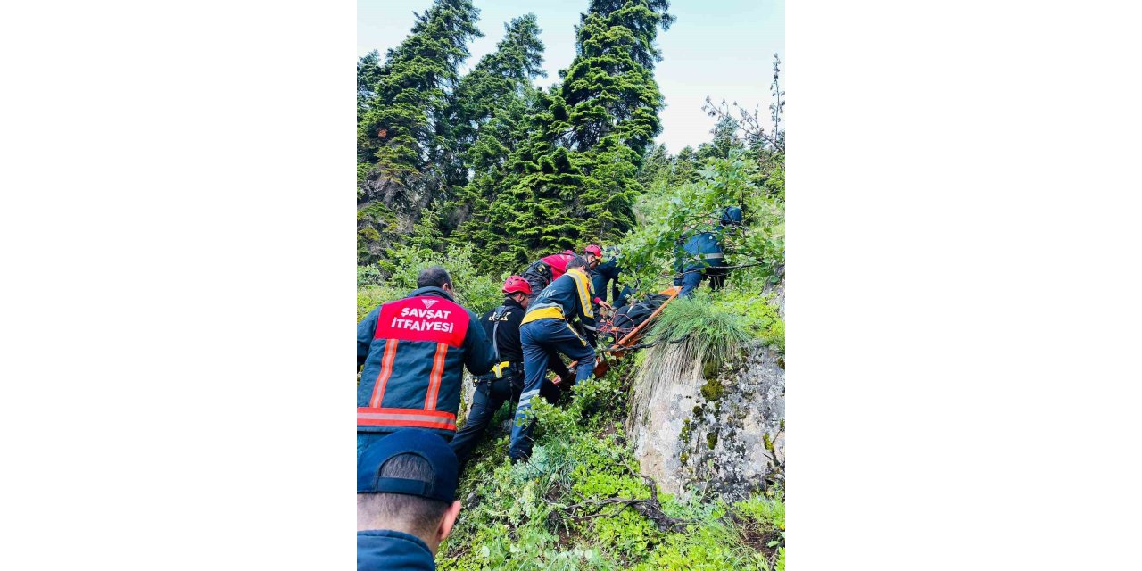 Uçuruma yuvarlanan kamyonet sürücüsü hayatını kaybetti