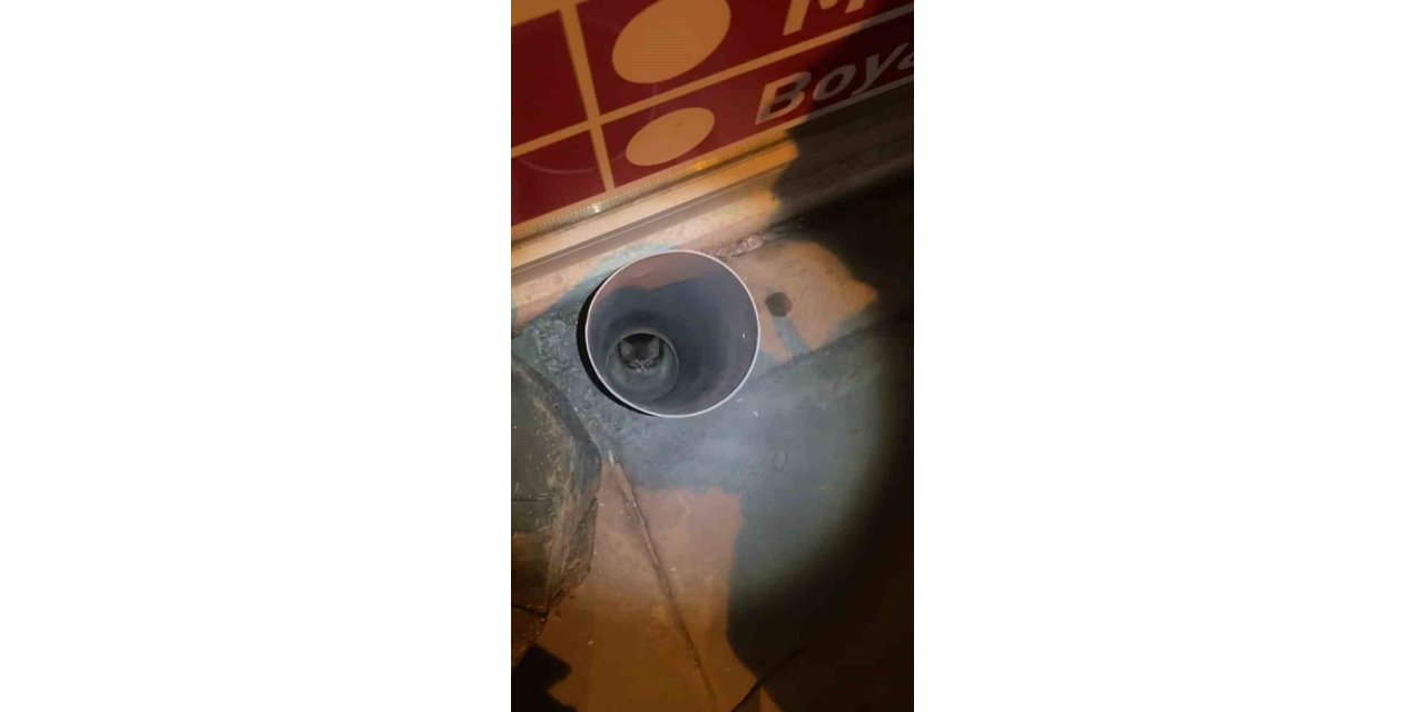 Anne kedi yardım istedi, itfaiye ekipleri kurtardı