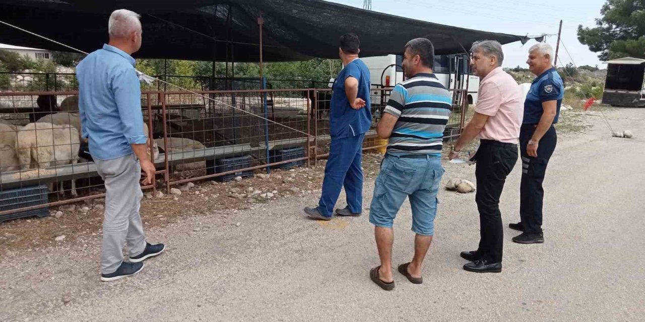 Kurban satış yerlerinde denetim