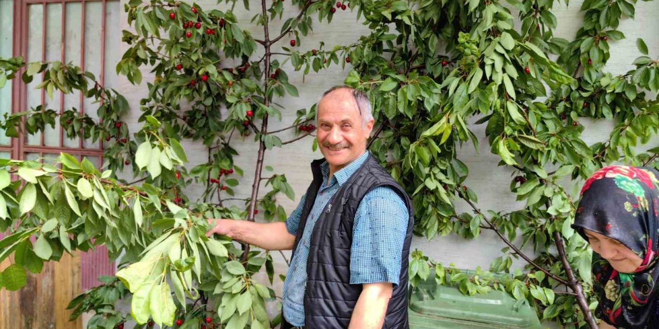 Ölümden saniyelerle kurtuldu, başına gelenlerden sonra kiraz topladı
