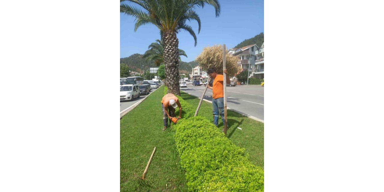 Marmaris’in yeşil alanları bakıma alındı