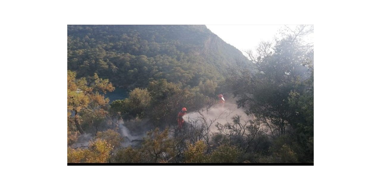 Fethiye’de çıkan orman yangını söndürüldü