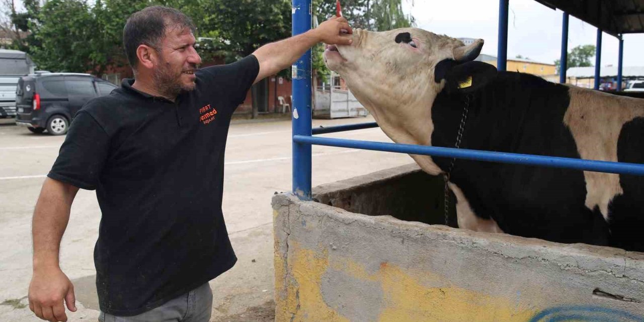 Nilüfer’de kurban kesim alanları belirlendi