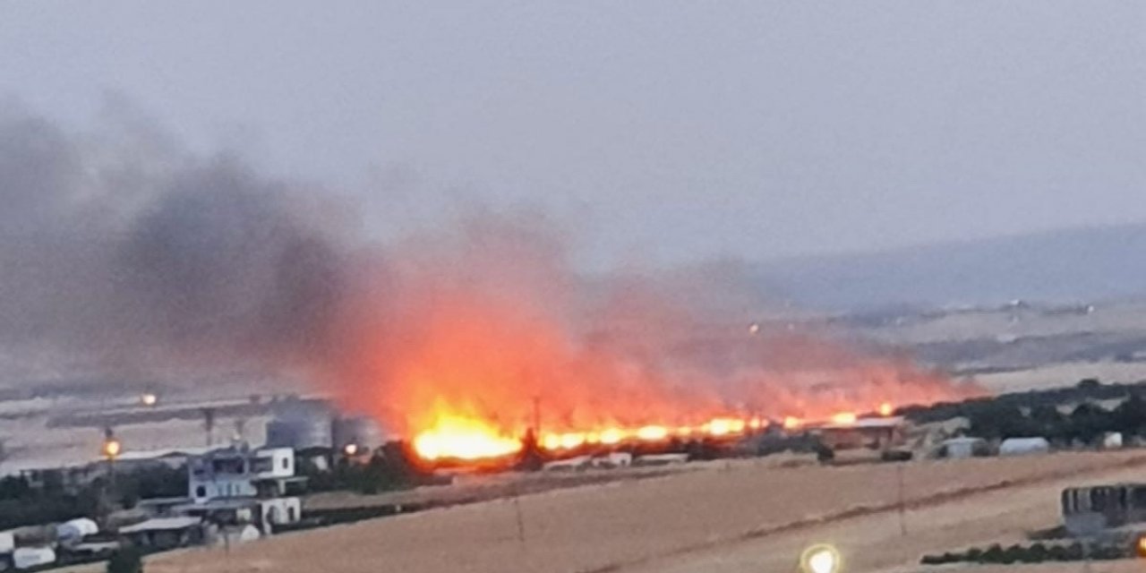 Ekili alanda çıkan yangında 70 dönümlük alan küle döndü