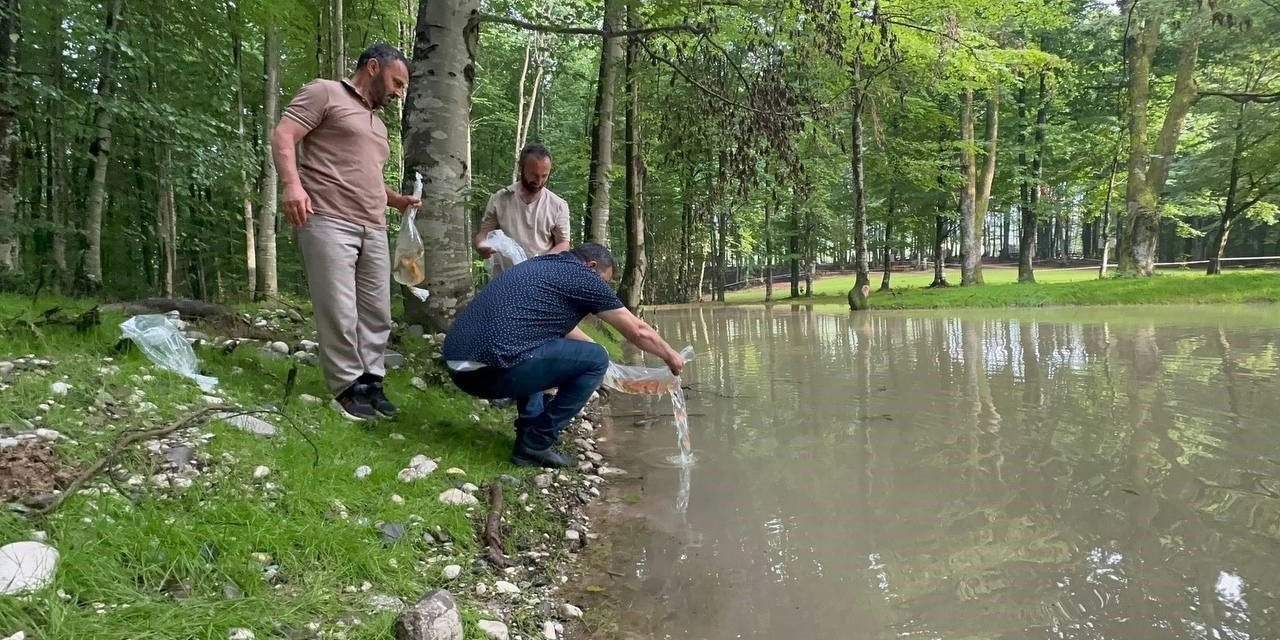 Güzlek Mesire Alanı Göleti’ne 500 koi balığı bırakıldı