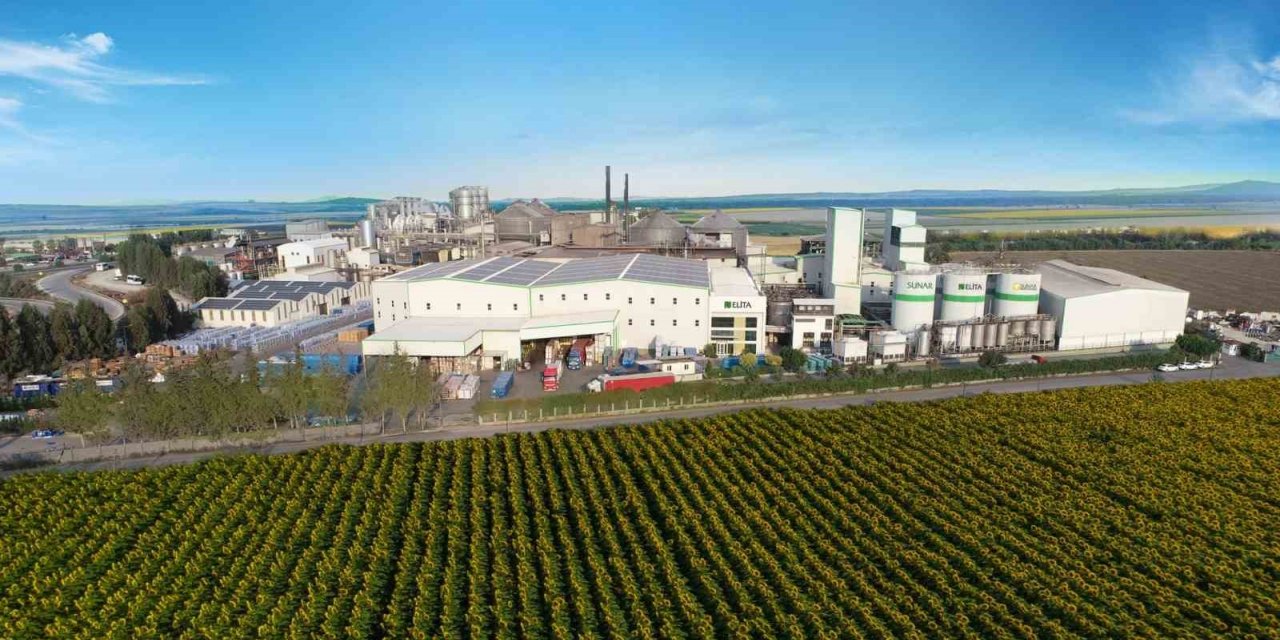 Sunar’ın şirketleri yükselmeye devam ediyor