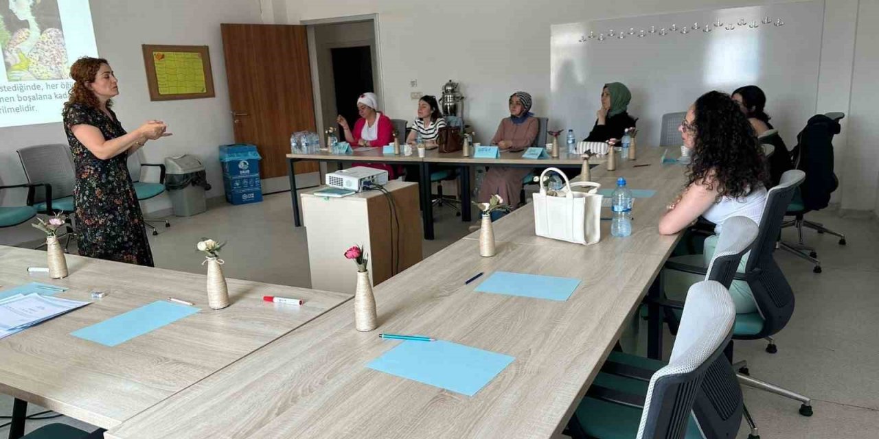 Anne sütü ve emzirme danışmanlığı eğitimi