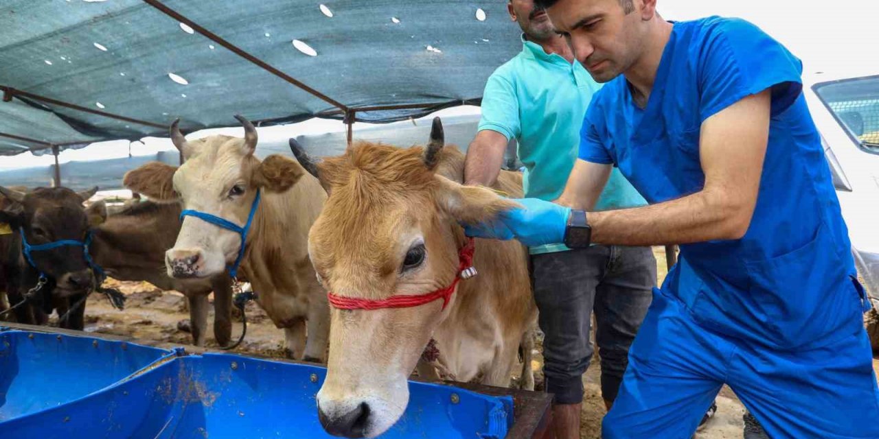 Buca’da Kurban Bayramı öncesi ekipler denetimde