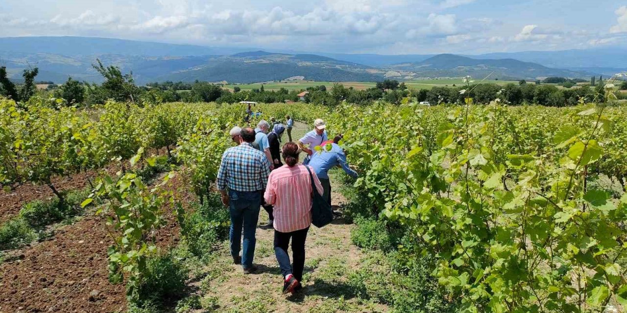 Akademisyenler bağ üreticileri ile buluştu