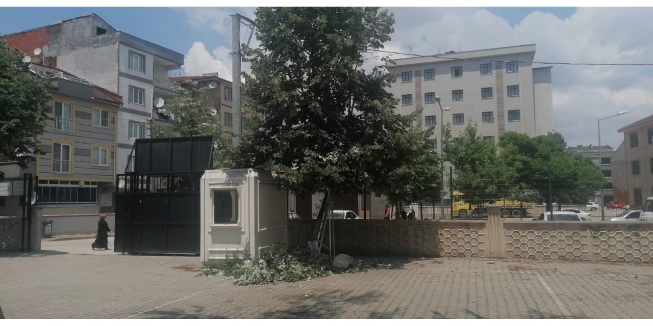 Okulun bahçesindeki ıhlamur ağacından düştü
