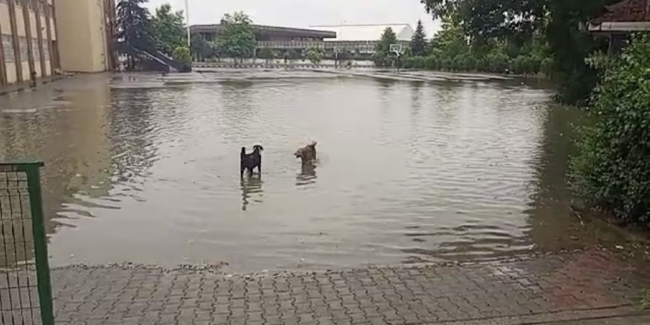 Yolu su bastı, esnaf ise sandalyesini alıp keyif yaptı