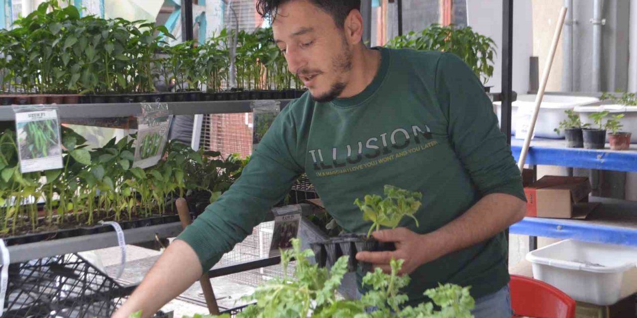 Tavşanlı’da havaların ısındı, fide satışları arttı