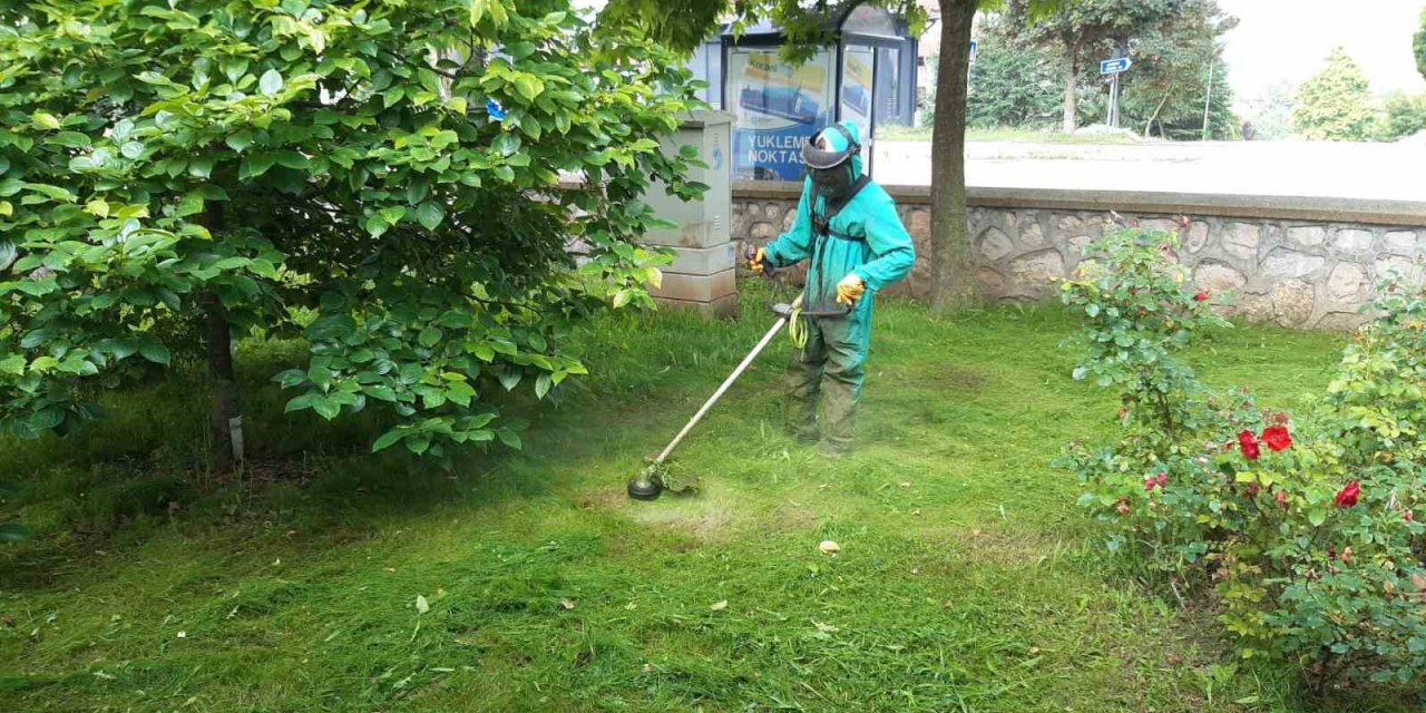 Başiskele’nin yeşil alanlarında hummalı çalışma