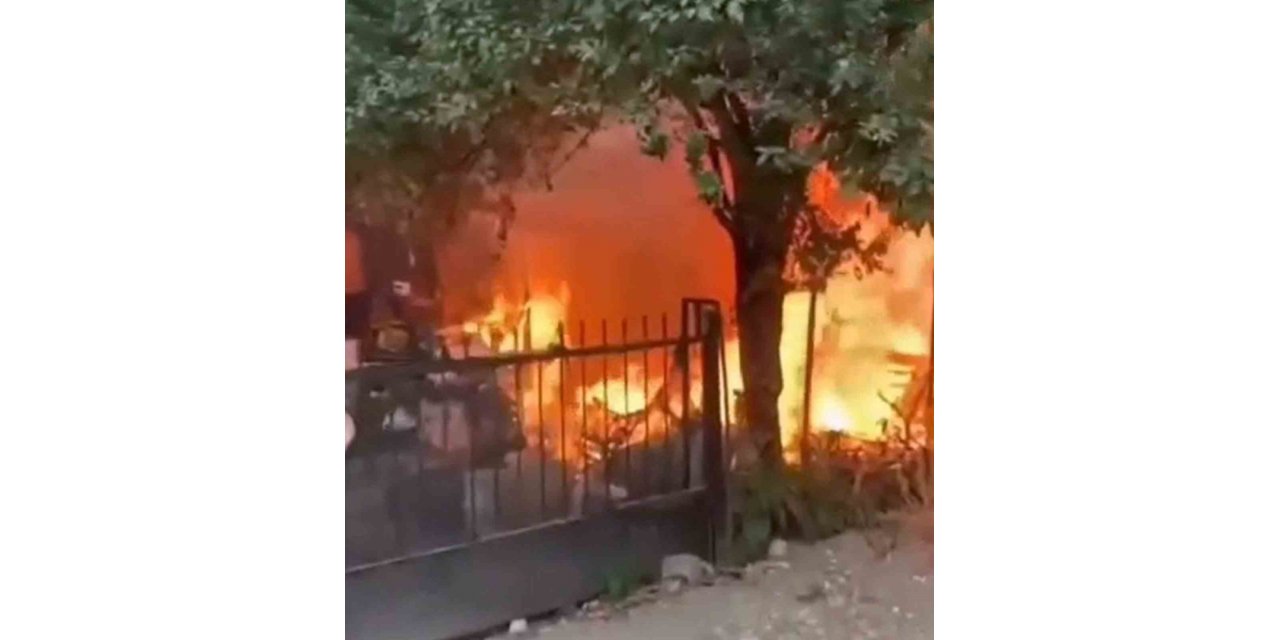 Yanan evden yavru kedi kurtarıldı