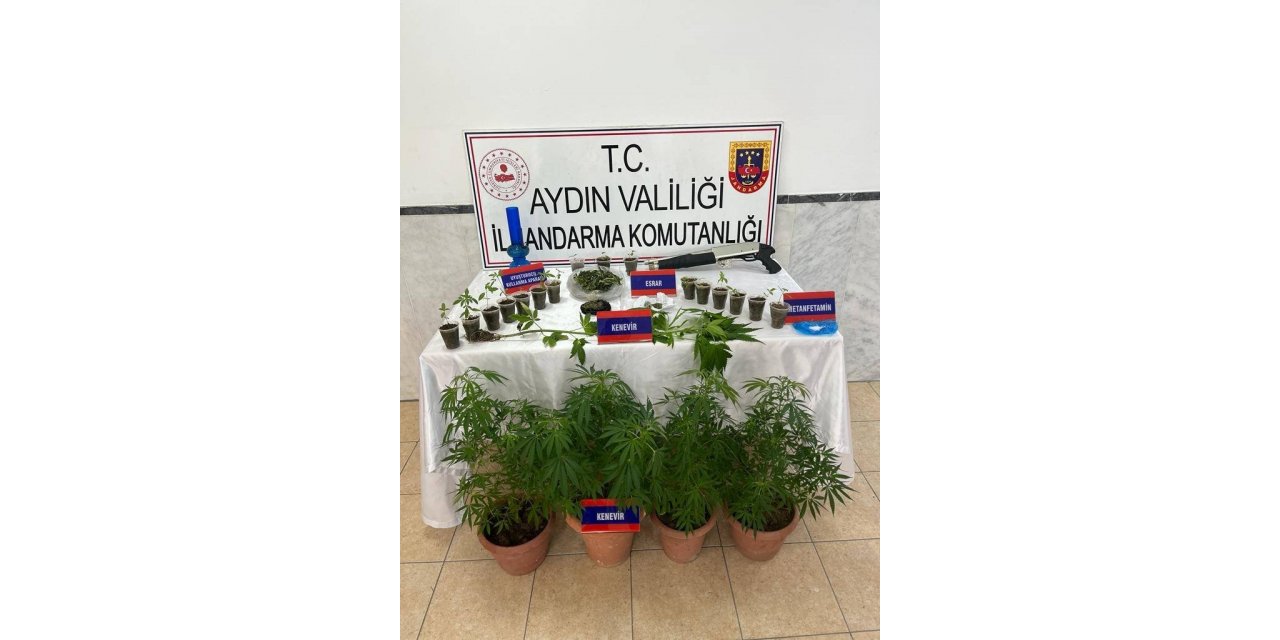Saksıda 46 kök kenevir ele geçirildi