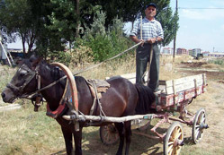 At arabası tarihe karışıyor