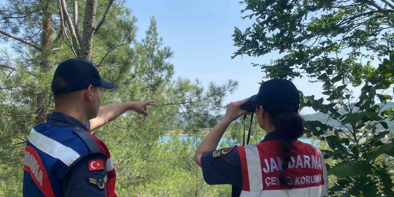 Muğla’da jandarma ekipleri orman yangınlarına karşı teyakkuza geçti