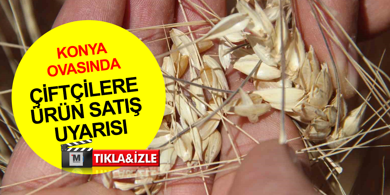 Konya Ovası'nda hasat sezonu yaklaşıyor! ZMO'dan çiftçilere ürün satış uyarısı