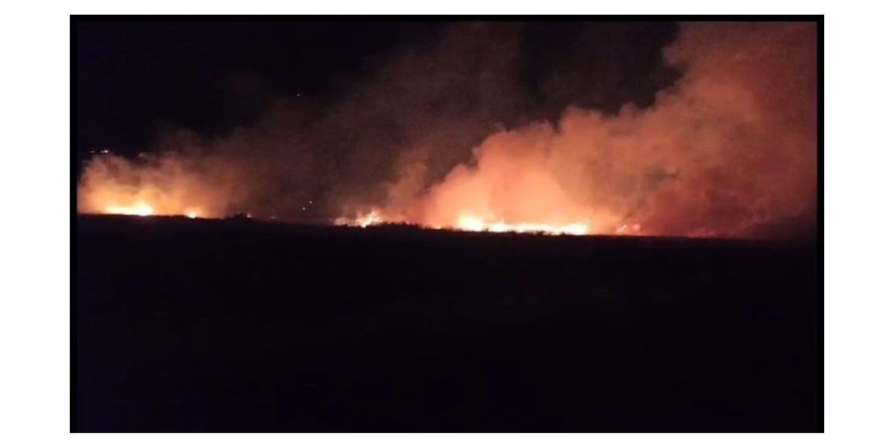 Düşen yıldırım buğday tarlasını yaktı