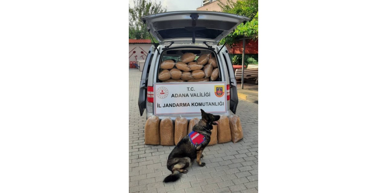 Adana’da kaçak 255 kilogram tütün ele geçirildi