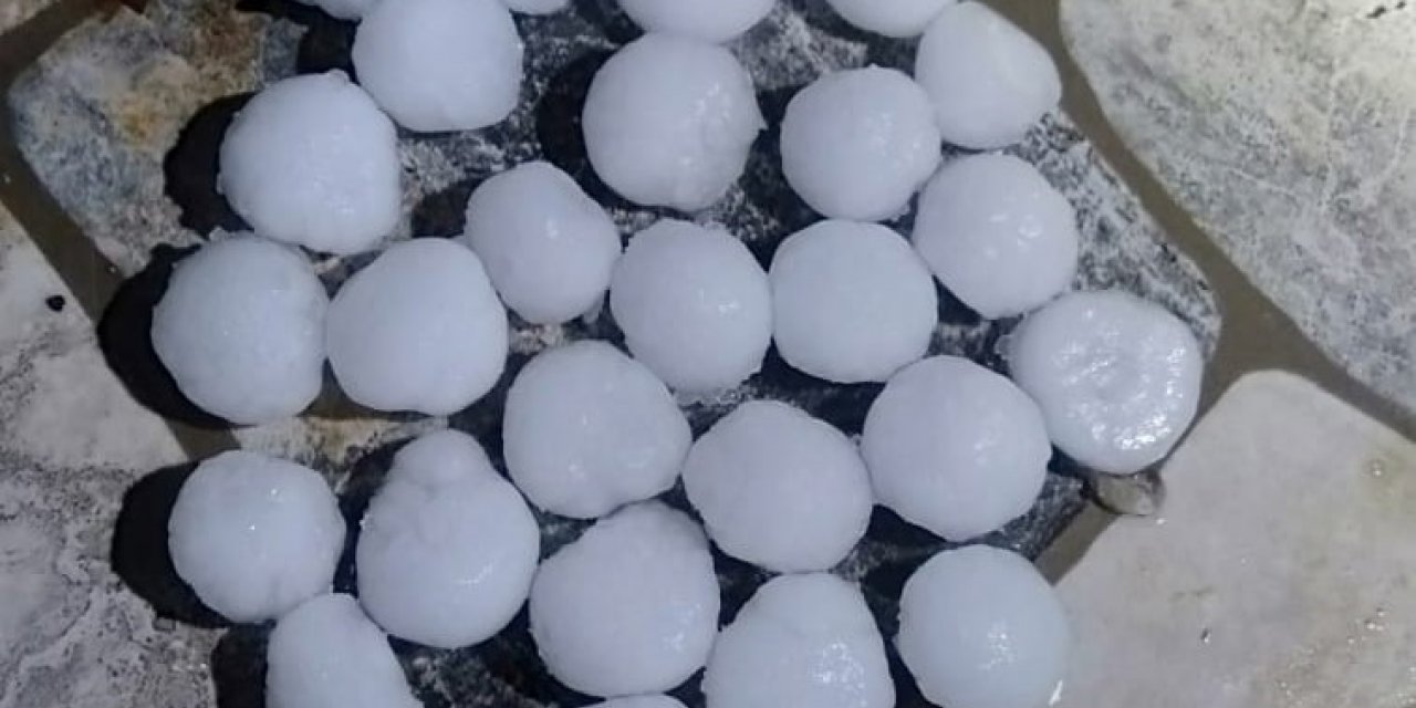 Malatya’da dolu yağışı kayısı bahçelerine zarar verdi