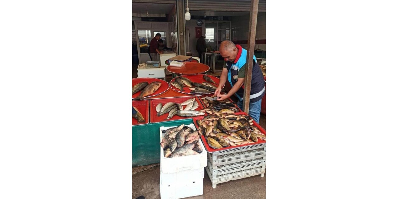 Konya Beyşehir’de balık boyları denetleniyor