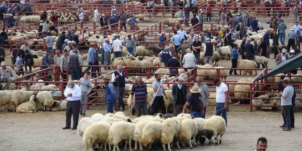 Van’da kurbanlık hayvanlar görücüye çıktı