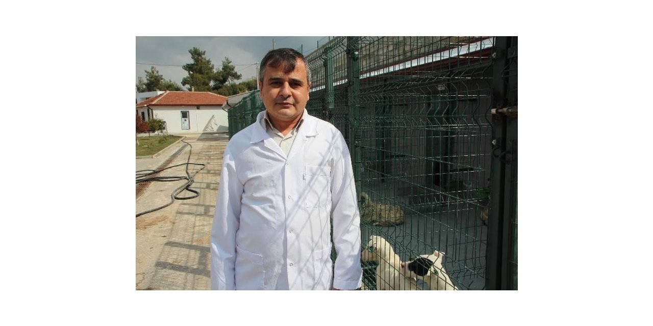 Kurbanlık alırken dikkat edilmesi gerekenler