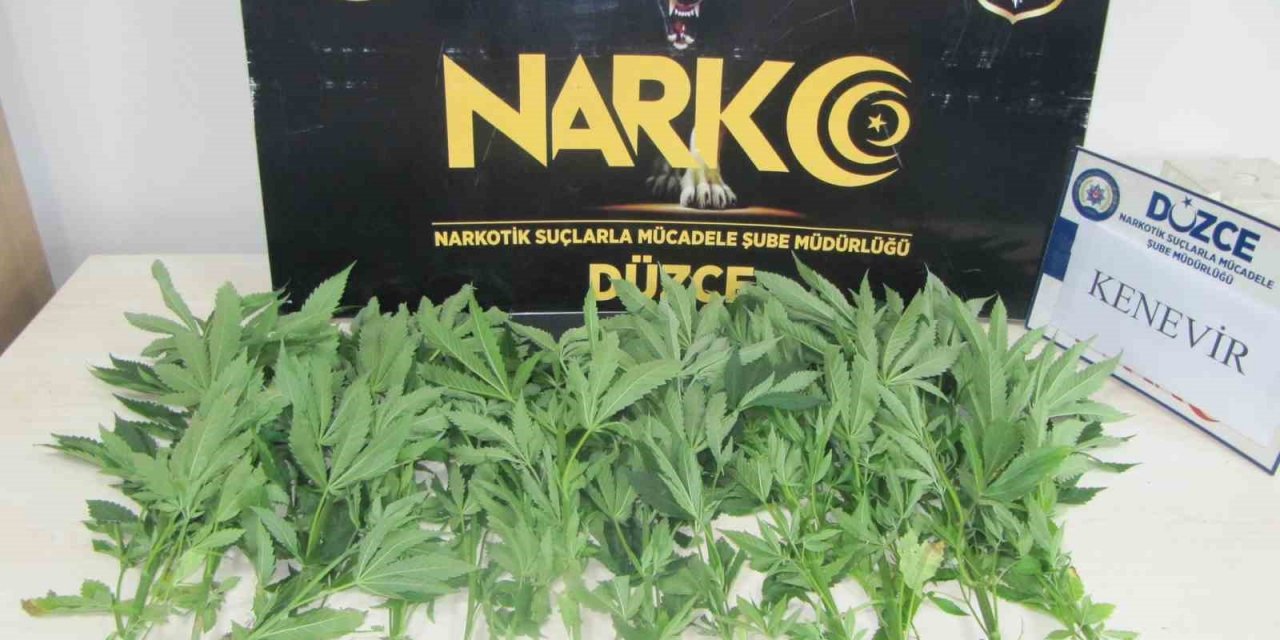 Binanın terasına uyuşturucu ekmiş