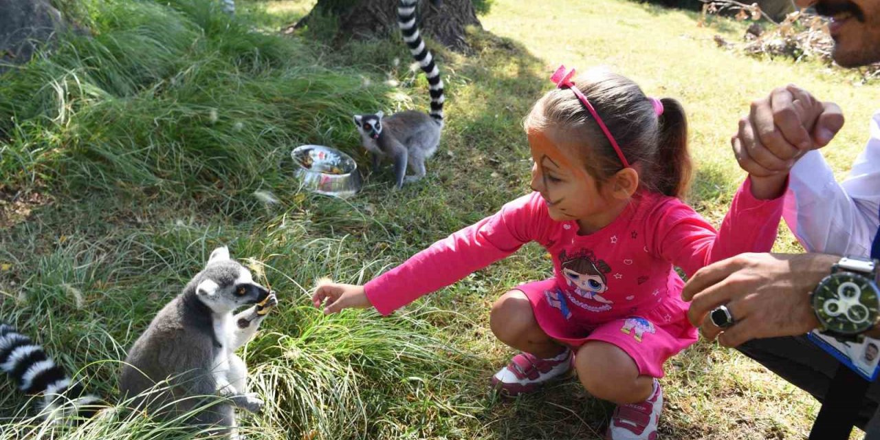 Çocukların bayramı Hayvanat Bahçesi’nde