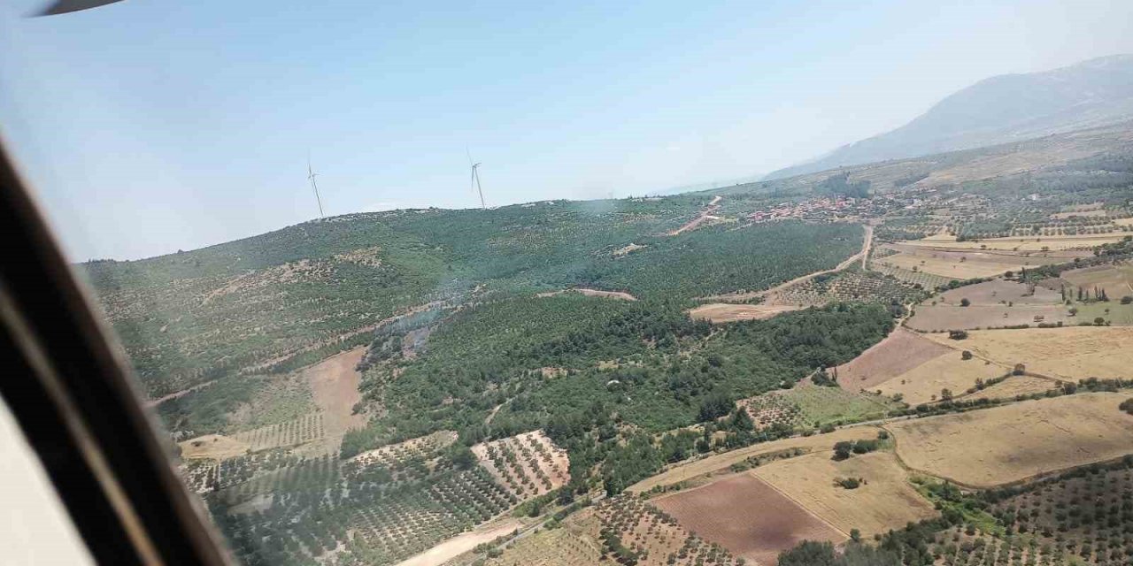 Manisa’da orman yangını