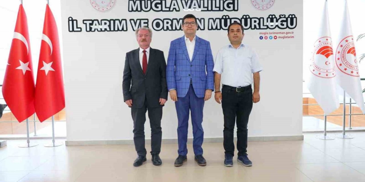 Tarım ve Orman İl Müdürü Saylak, “Tarım tüm paydaşlarla başarıya ulaşır”