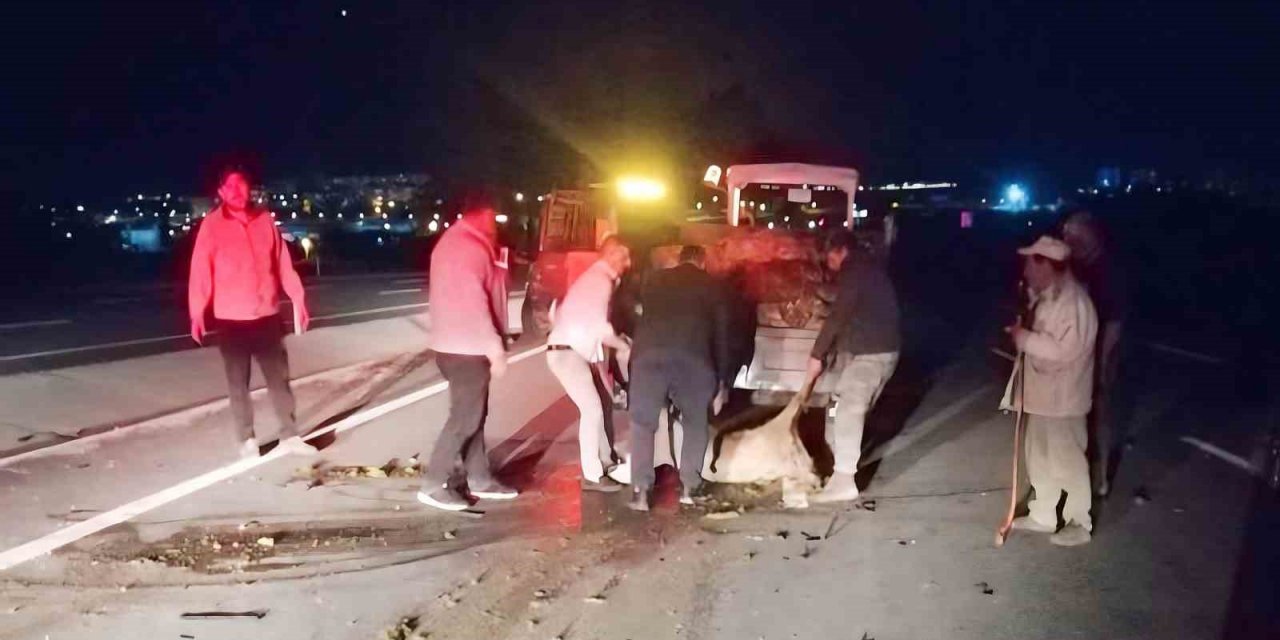 Otomobilin çarptığı koyun sürüsünde 18 koyun telef oldu