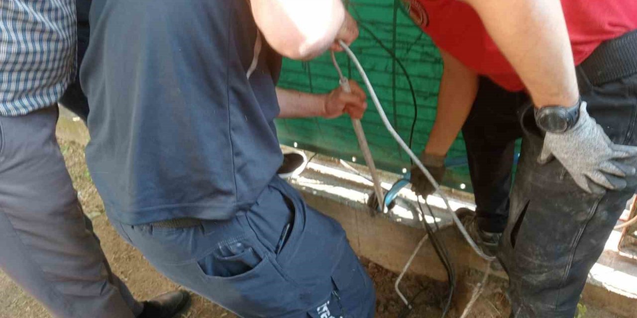 Yağmur borusuna sıkışan kedi 5 saatte kurtarıldı