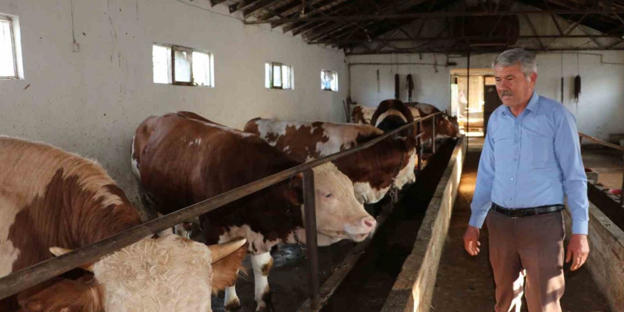 Kurbanlık satışları hızlandı