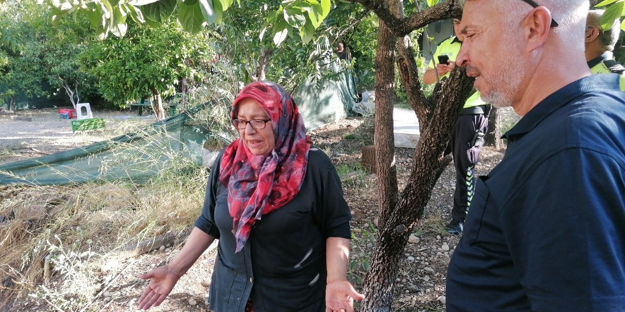 Yılandan korkup ormanı yakıyordu