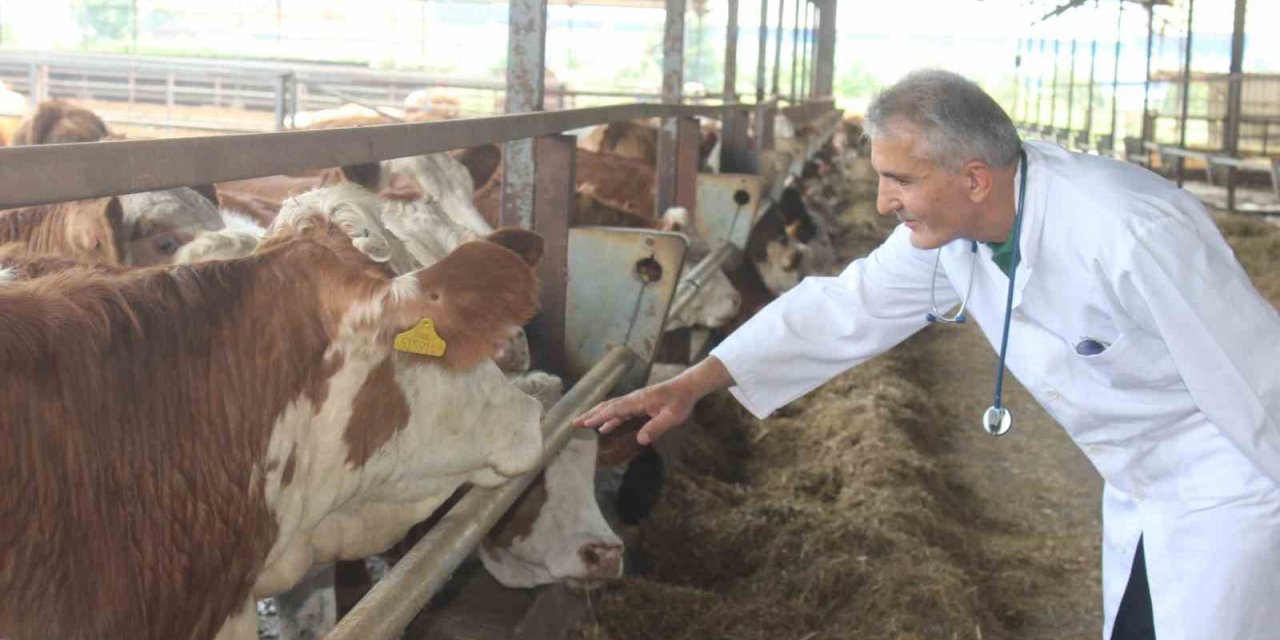 Kurbanlık alacaklar dikkat