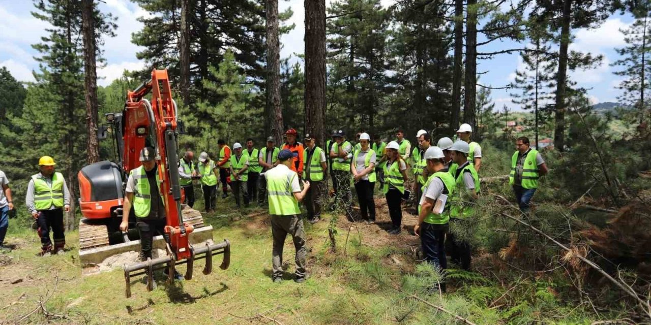 Denizli’de yeni ormanlar planlı olarak kuruluyor