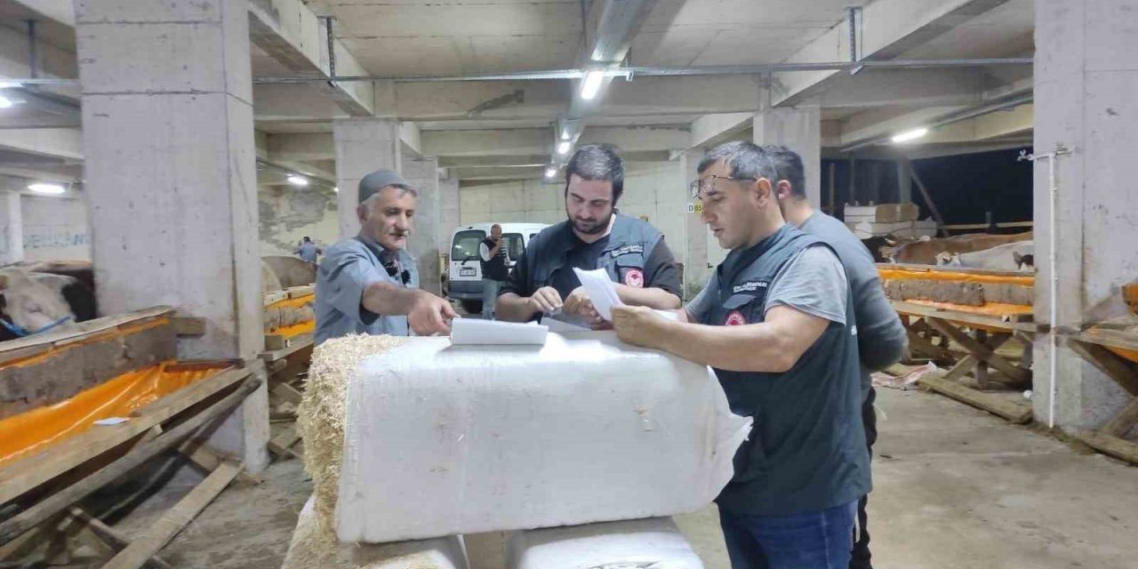 Rize’de kurban pazarlarında denetim ve dezenfeksiyon çalışmaları devam ediyor