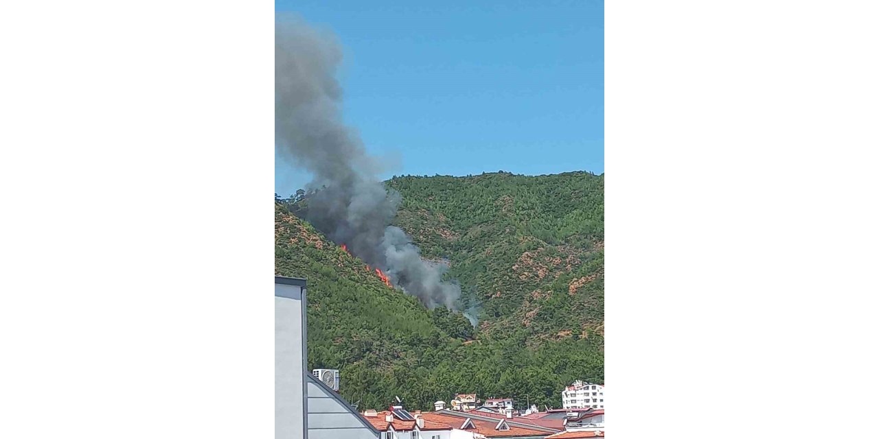 Marmaris’te orman yangını