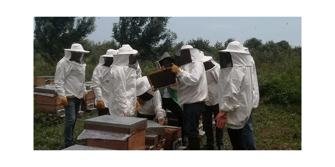 Genç arıcılara eğitim