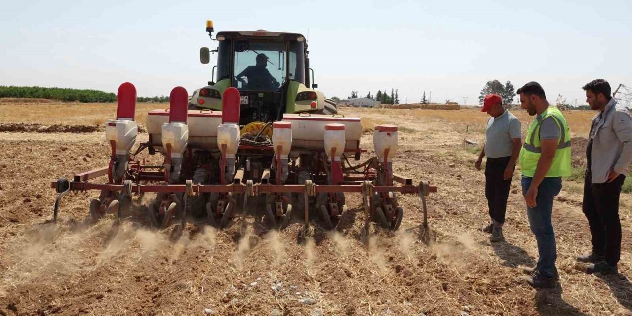 Şanlıurfa Büyükşehir Belediyesi mısır ekimine başladı