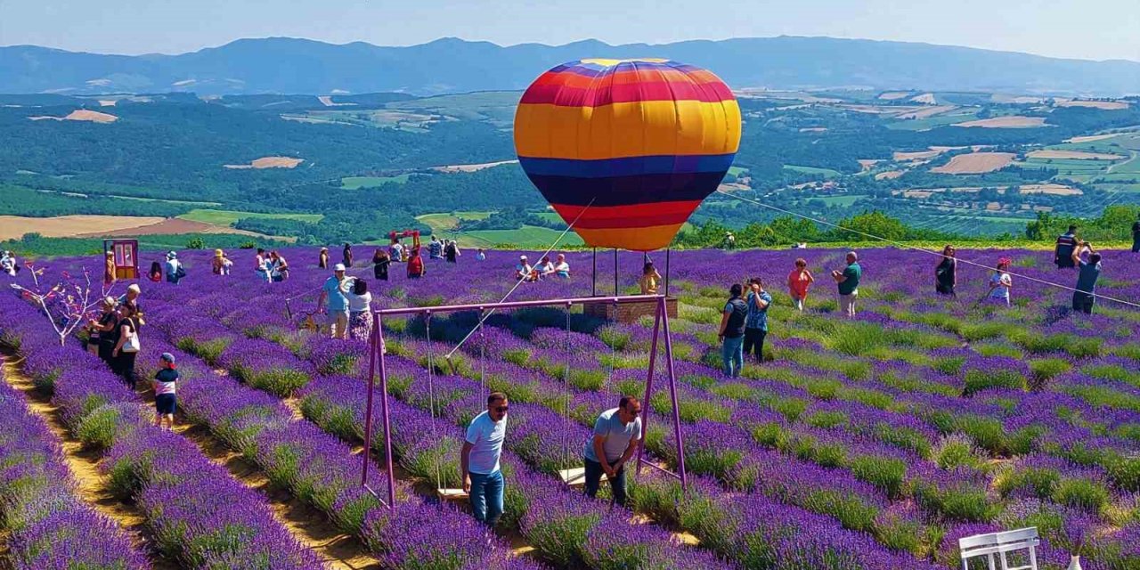 Tekirdağ’da mor şenlik