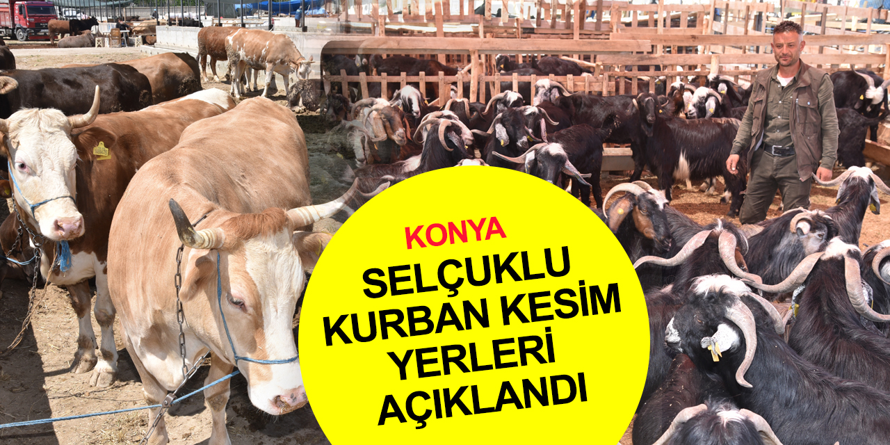 Konya bayrama hazır! Selçuklu’da kurban pazarı ve 18 ayrı kurban kesim yeri açıklandı