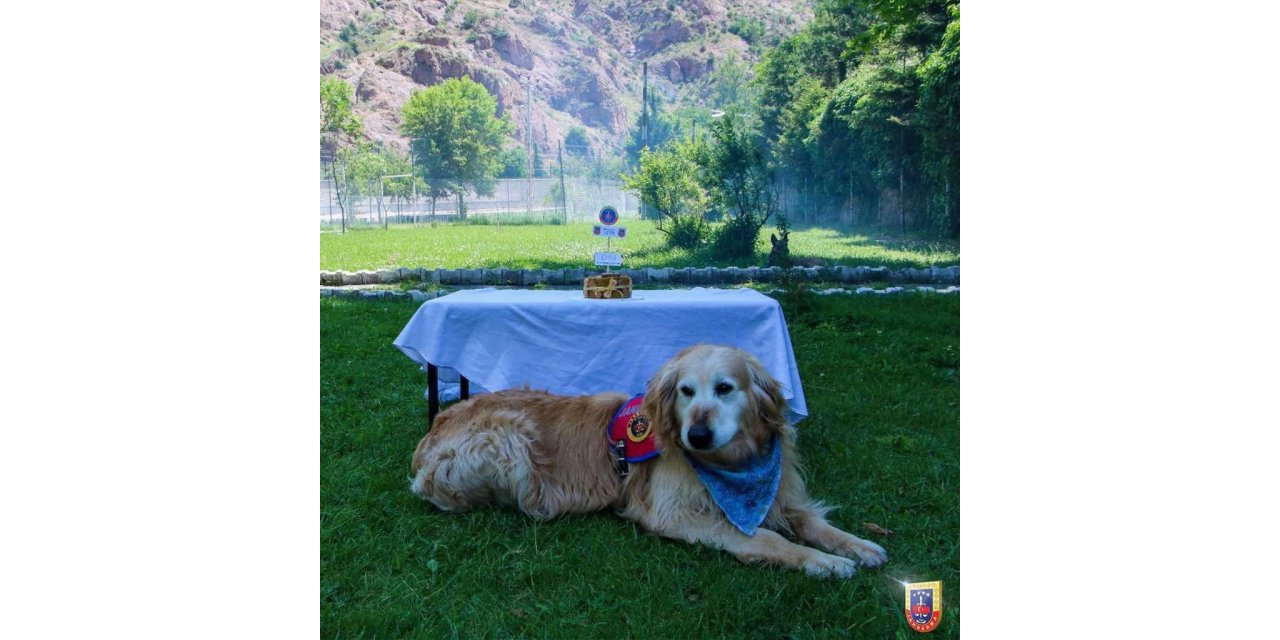 Uyuşturucu arama köpeği ‘Altın’ pasta kesilerek emekli edildi