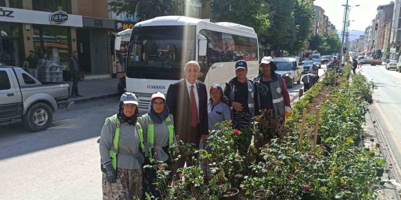 Kadın eli değince orta refüjler çiçek açtı