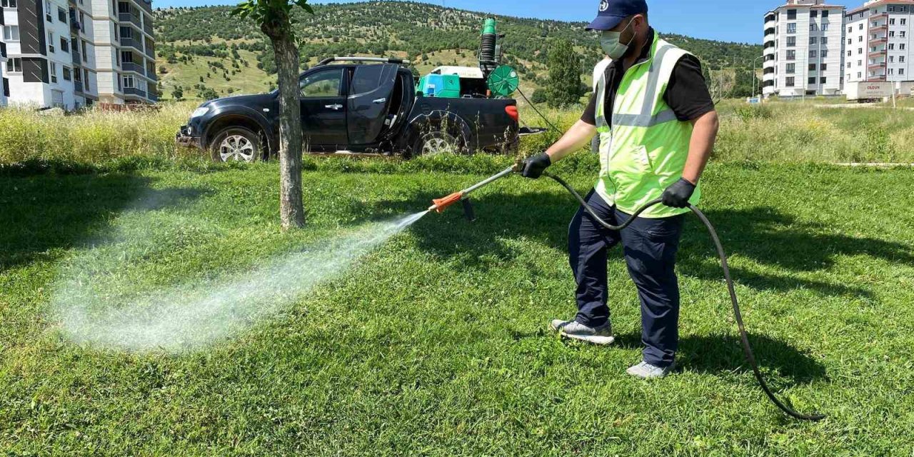 Bozüyük’te haşere mücadelesi kene ilaçlaması ile sürüyor