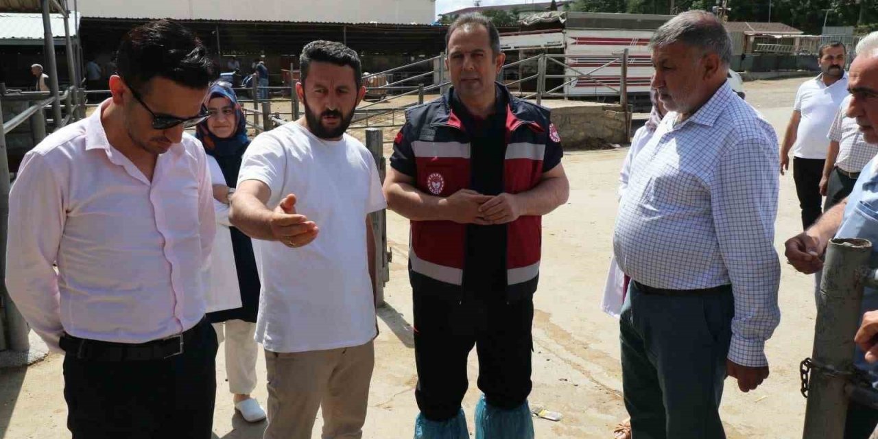 Elazığ’da Hayvan satış yerleri denetlendi