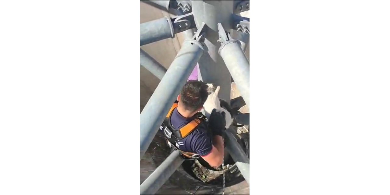 Çatıda mahsur kalan kediyi itfaiye kurtardı
